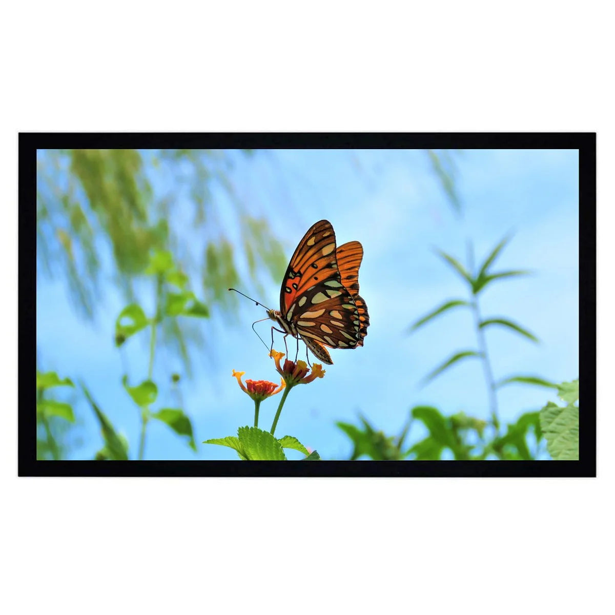 100 Inch 16:9 Basic Fixed Frame Projector Screen
