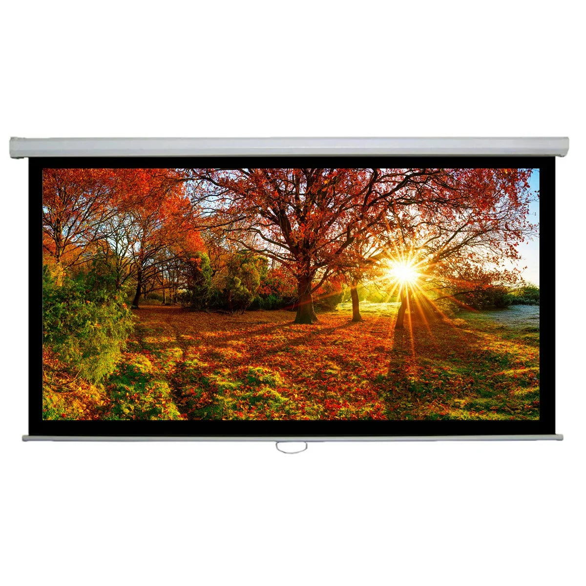 100 Inch 16:9 Pull Down Autolock/Instalock Projector Screen