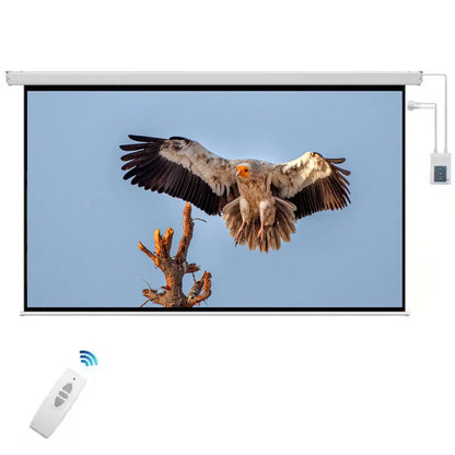 133 Inch 16:9 Electric + Remote Motorized Projector Screen